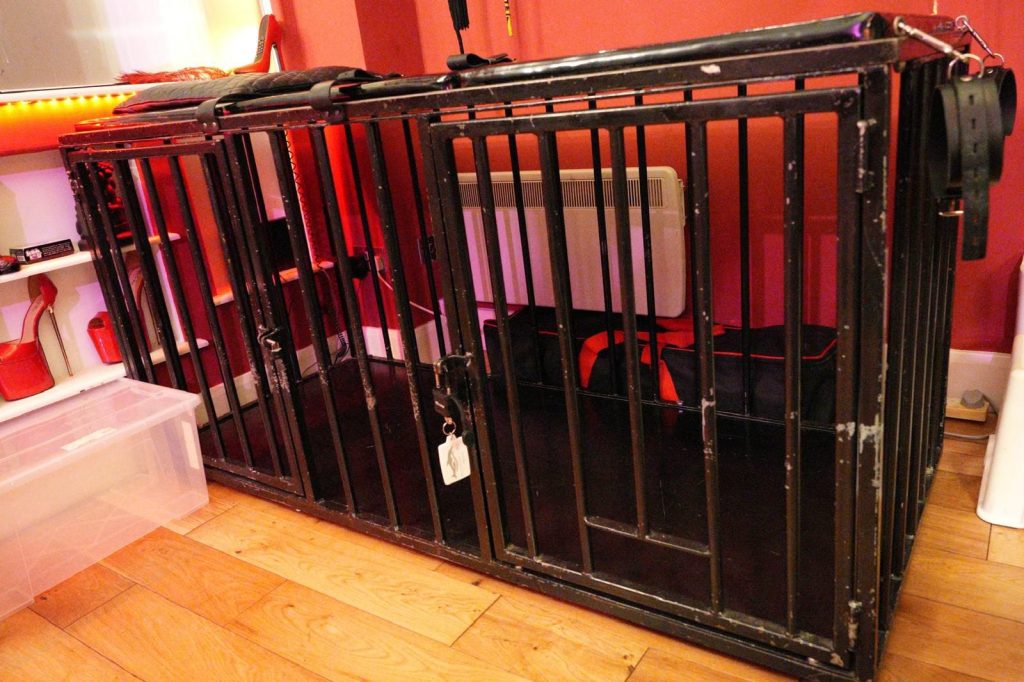 Black steel cage on the wooden floor of the red room