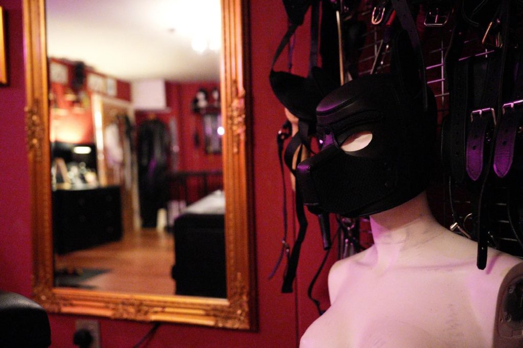 Pup hood on a mannequin reflected in a gold mirror