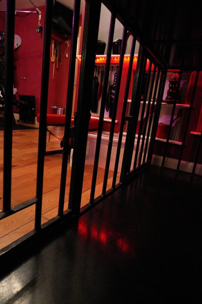 Inside view through the black bars of the cage, lit in red