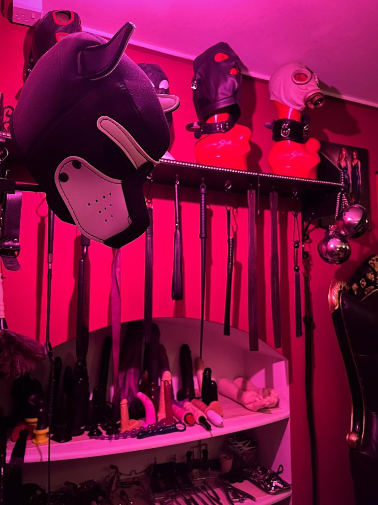 Pup hood, gimp masks and canes under pink light