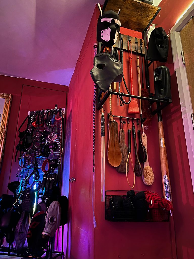 Wall of paddles, pup hoods and harnesses beside the door